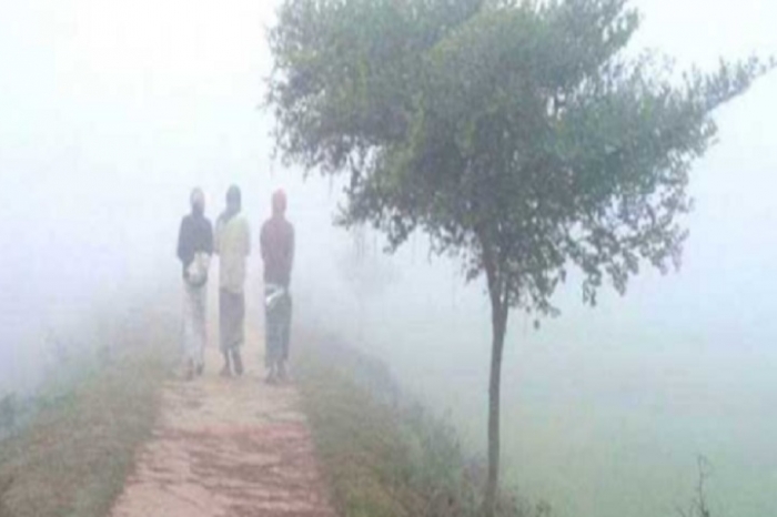 ফাইল ছবি