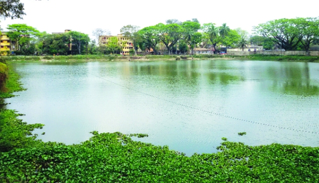 ফাইল ছবি