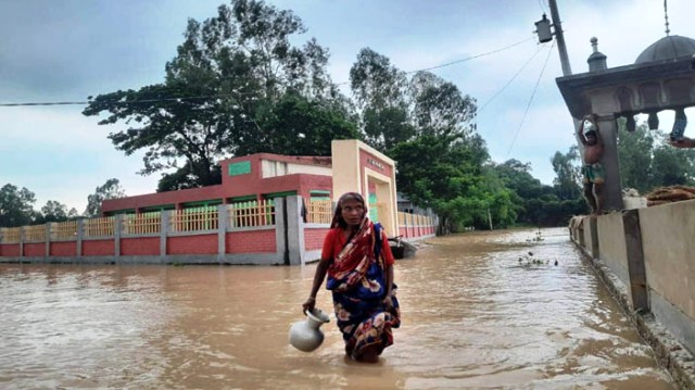 ফাইল ছবি