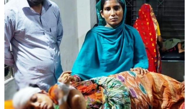 ফাইল ছবি