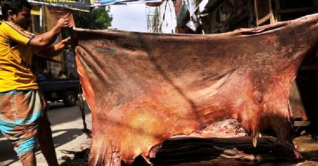 চামড়া নিয়ে হতাশ ক্রেতা-বিক্রেতা