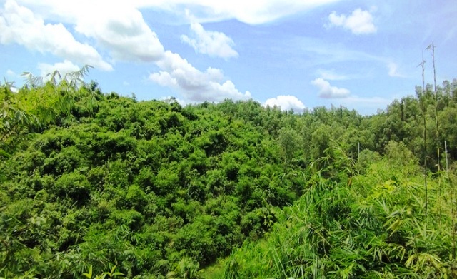 ছবি: সংগৃহীত