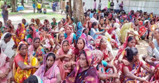 চা-শ্রমিকদের নতুন মজুরি ১৪৫ টাকা, কর্মবিরতি প্রত্যাহার