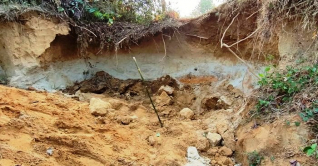 পাখির বাসা খুঁজতে গিয়ে মাটিচাপায় তিন শিশুর মৃত্যু