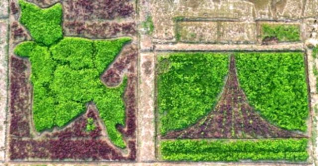 ধানখেতে জাতীয় পতাকা, শাকে মানচিত্র ও স্মৃতিসৌধ ধানখেতে জাতীয় পতাকা, শাকে মানচিত্র ও স্মৃতিসৌধ