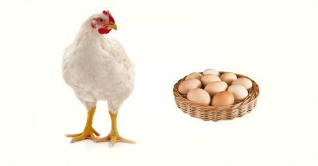 বেড়েছে মুরগি ও ডিমের দাম বেড়েছে মুরগি ও ডিমের দাম