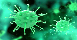 ‘আগামী দশকে আরেকটি মহামারি আসতে পারে’ ‘আগামী দশকে আরেকটি মহামারি আসতে পারে’