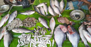 মাছ-মাংসের স্বাদ নিতে হিমশিম সাধারণ মানুষ মাছ-মাংসের স্বাদ নিতে হিমশিম সাধারণ মানুষ