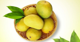 যেভাবে চিনবেন ফরমালিনমুক্ত আম যেভাবে চিনবেন ফরমালিনমুক্ত আম