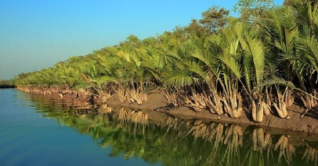 সুন্দরবনে পর্যটক প্রবেশে নিষেধাজ্ঞা
