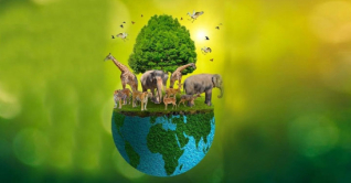 আজ আন্তর্জাতিক জীববৈচিত্র্য দিবস