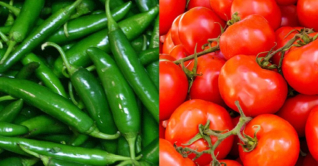 ভারত থেকে আসছে কাঁচামরিচ ও টমেটো ভারত থেকে আসছে কাঁচামরিচ ও টমেটো