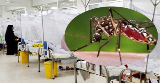 ডেঙ্গু পরিস্থিতির আরও অবনতি ডেঙ্গু পরিস্থিতির আরও অবনতি