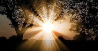 সবচেয়ে ছোট দিন আজ