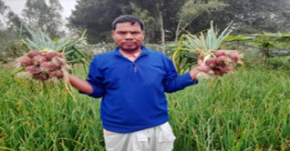 চিরিরবন্দরে গ্রীষ্মকালীন পেঁয়াজ চাষ