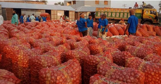 দেশে এলো ১২০ টন পেঁয়াজ দেশে এলো ১২০ টন পেঁয়াজ
