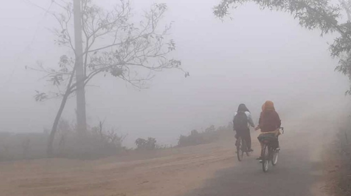 সংগৃহীত ছবি