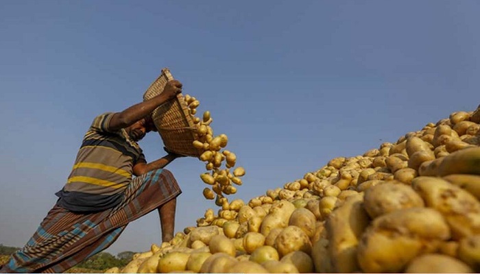 সংগৃহীত ছবি