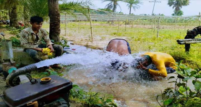 সংগৃহীত ছবি