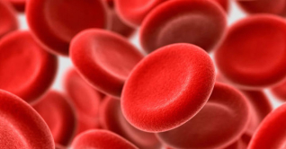 ৫ প্রাকৃতিক উপায়ে বাড়বে হিমোগ্লোবিন