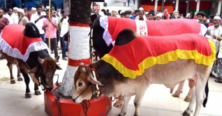 শাহজালালের মাজারে ওরশ উপলক্ষে প্রধানমন্ত্রীর উপহার শাহজালালের মাজারে ওরশ উপলক্ষে প্রধানমন্ত্রীর উপহার
