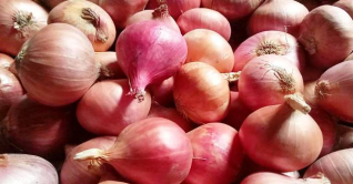 বেড়েছে পেঁয়াজের ঝাঁজ, কেজি ১০০ ছুঁই ছুঁই