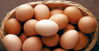 ডিমের দামে রেকর্ড