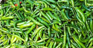 কাঁচা মরিচের দামে ট্রিপল সেঞ্চুরি