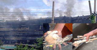 গাজী টায়ার কারখানায় মিলল মানুষের মাথার খুলি-হাড়গোড় গাজী টায়ার কারখানায় মিলল মানুষের মাথার খুলি-হাড়গোড়