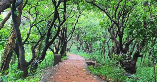 বোটানিক্যাল গার্ডেনের প্রবেশ ফি কমলো বোটানিক্যাল গার্ডেনের প্রবেশ ফি কমলো