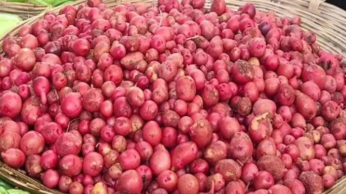 সংগৃহীত ছবি