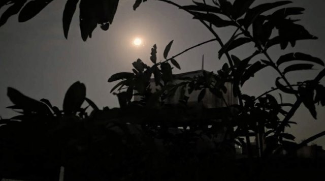 সংগৃহীত ছবি