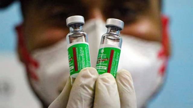 ফাইল ছবি