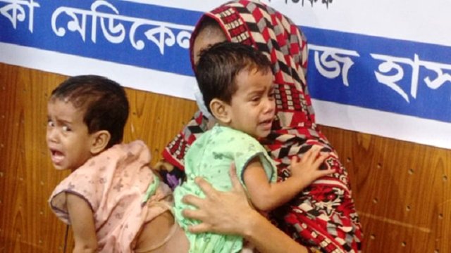 ফাইল ছবি