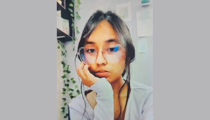 ফাইল ছবি