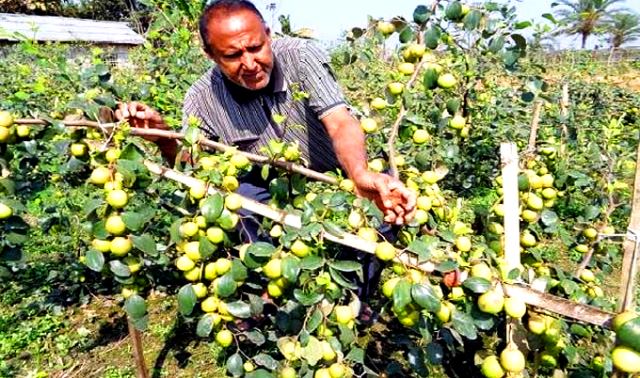 সংগৃহীত ছবি