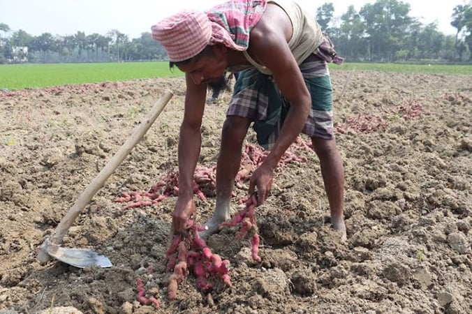 সংগৃহীত ছবি