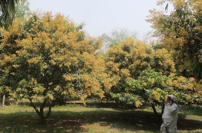 সংগৃহীত ছবি