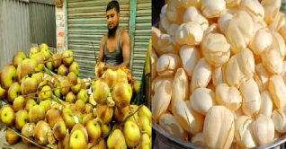 কুমিল্লার হাট বাজারে তালের শাঁস বিক্রির ধুম