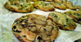 বদমেজাজী শিশুর চিকিৎসায় গাঁজার বিস্কুট!