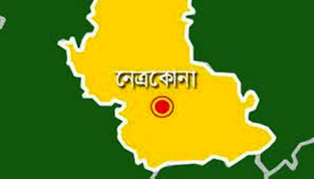 ফাইল ছবি