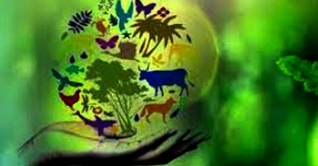 আজ বিশ্ব জীববৈচিত্র্য দিবস