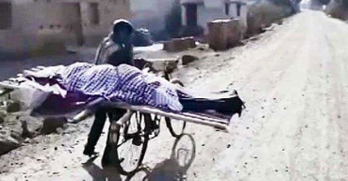 ছবি: ইন্টারনেট