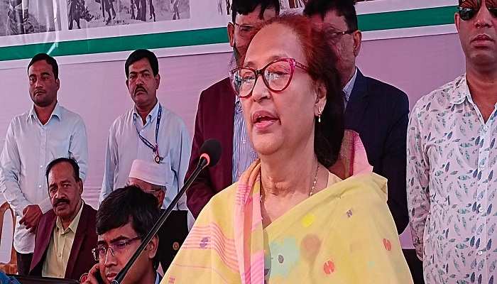 ফাইল ছবি