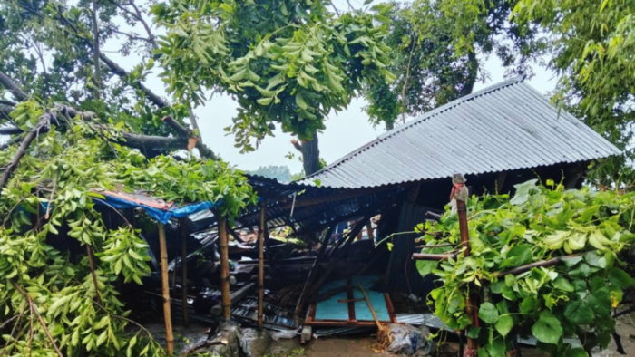 জামালপুরের মেলান্দহ উপজেলায় কালবৈশাখী ঝড়ের তাণ্ডবে বসতবাড়ির ওপর গাছ ভেঙে পড়েছে। 