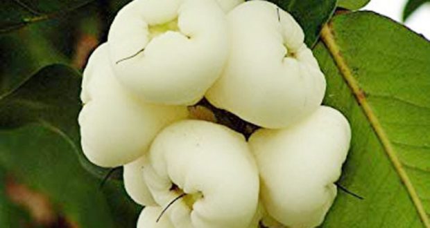 ছবি: সংগ্রহিত।