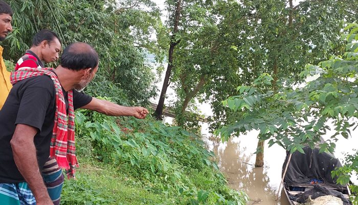 ফাইল ছবি