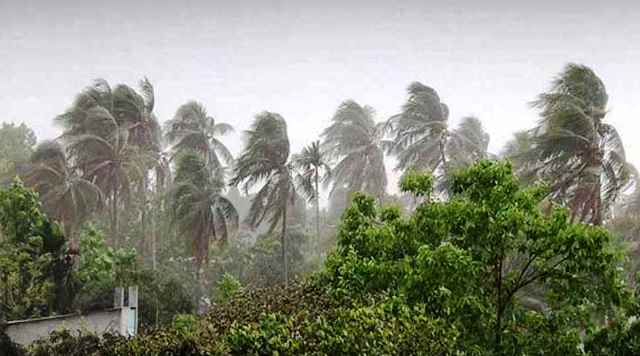 সংগৃহীত ছবি সংগৃহীত ছবি