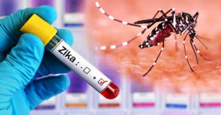 দেশে জিকা ভাইরাসের ক্লাস্টার নিয়ে গবেষকদের উদ্বেগ দেশে জিকা ভাইরাসের ক্লাস্টার নিয়ে গবেষকদের উদ্বেগ