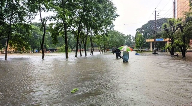 ফাইল ছবি